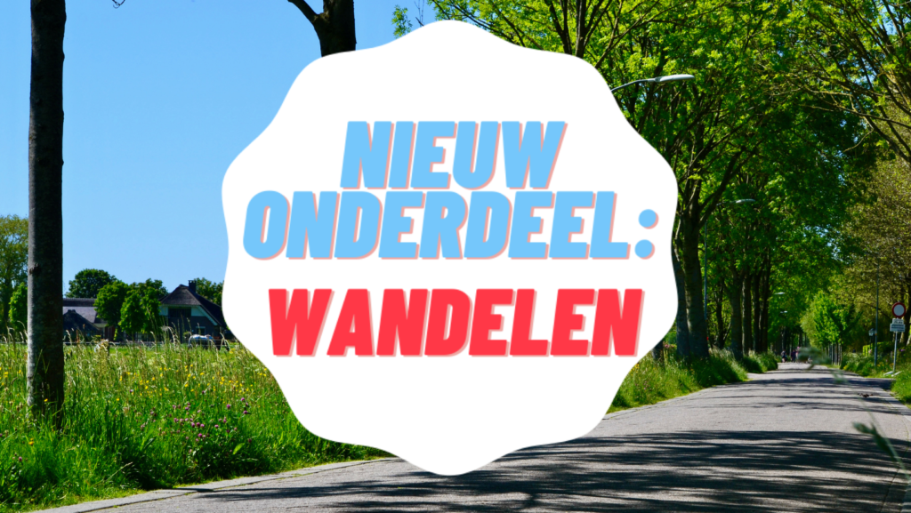Ontwerp zonder titel